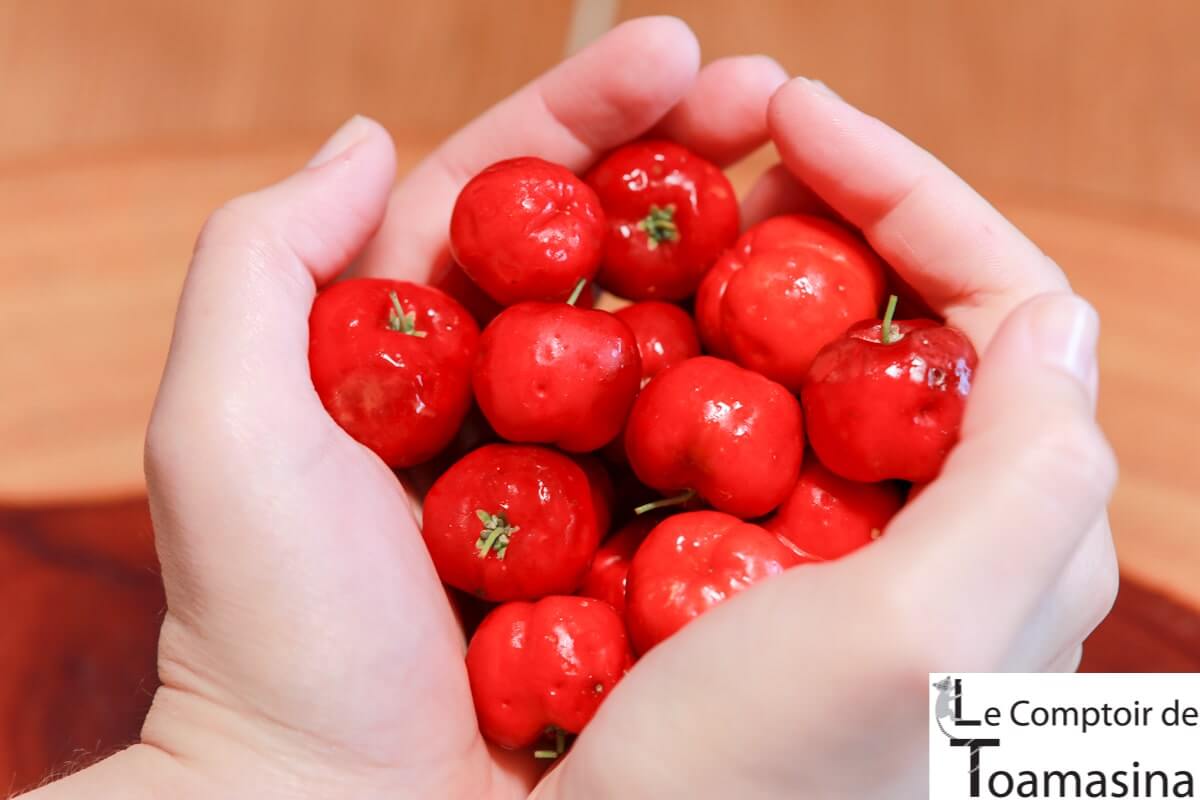 Acheter Acérola en poudre 